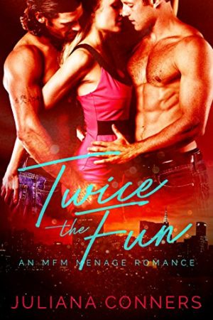 twice the fun amazon book cover
