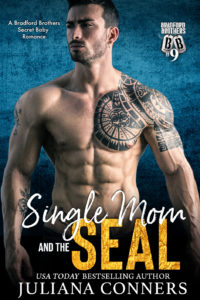 NEW SUBTITLE Single Mom and the Seal book cover