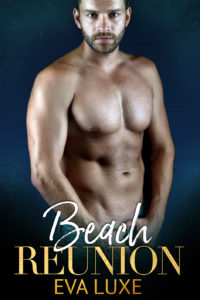Beach Reunion book cover