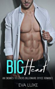 Big Heart book cover