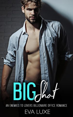 Big Shot book cover
