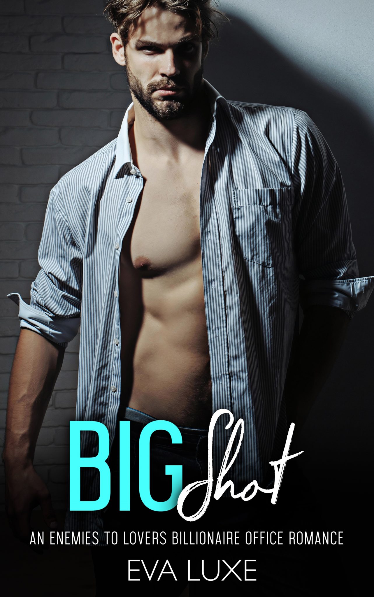 Big Shot book cover