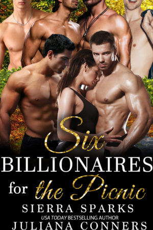 Six Billionaires for the Picnic