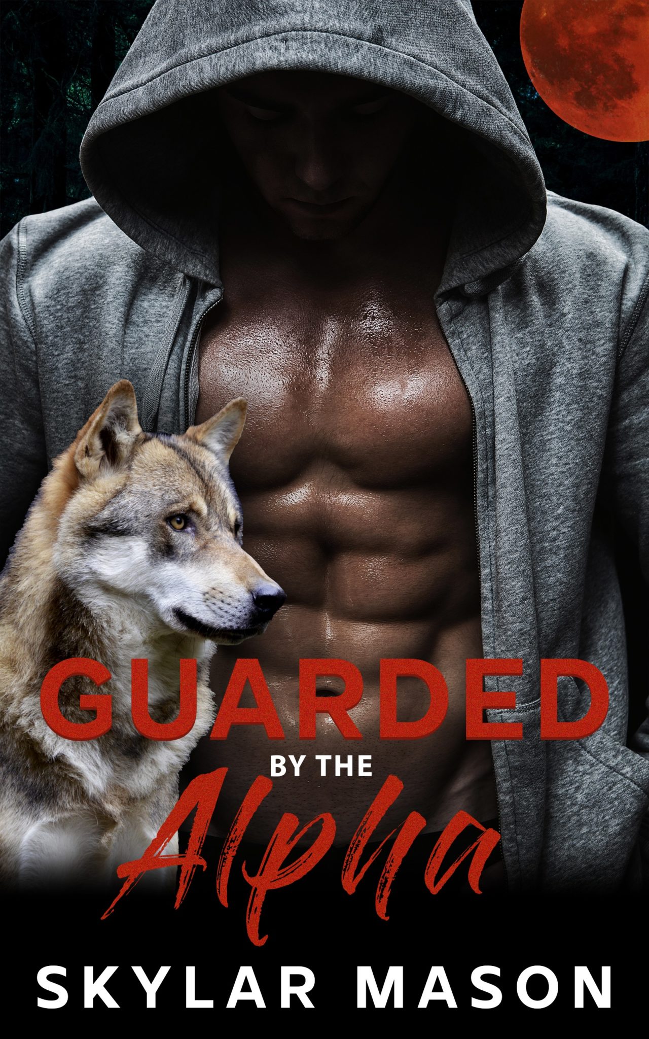 Guarded by the Alpha book cover