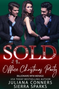 Sold at the Office Christmas Party book cover