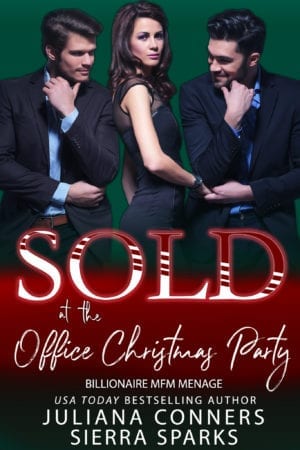 Sold at the Office Christmas Party book cover