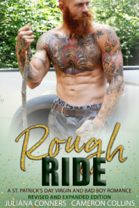 rough ride St Patricks Day book cover
